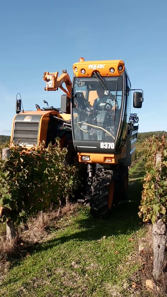 machine à vendanger Pellenc pour la récolte des grappe de raisin de Bourgueil